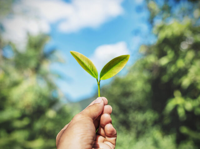 eko sklad subvencija prezračevanje