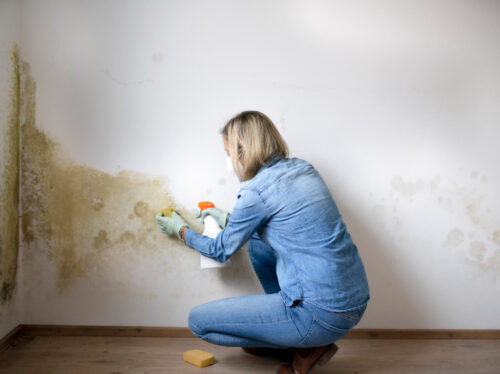 Plesen in vlaga v stanovanju: kako prezračevanje trajno odpravi problem