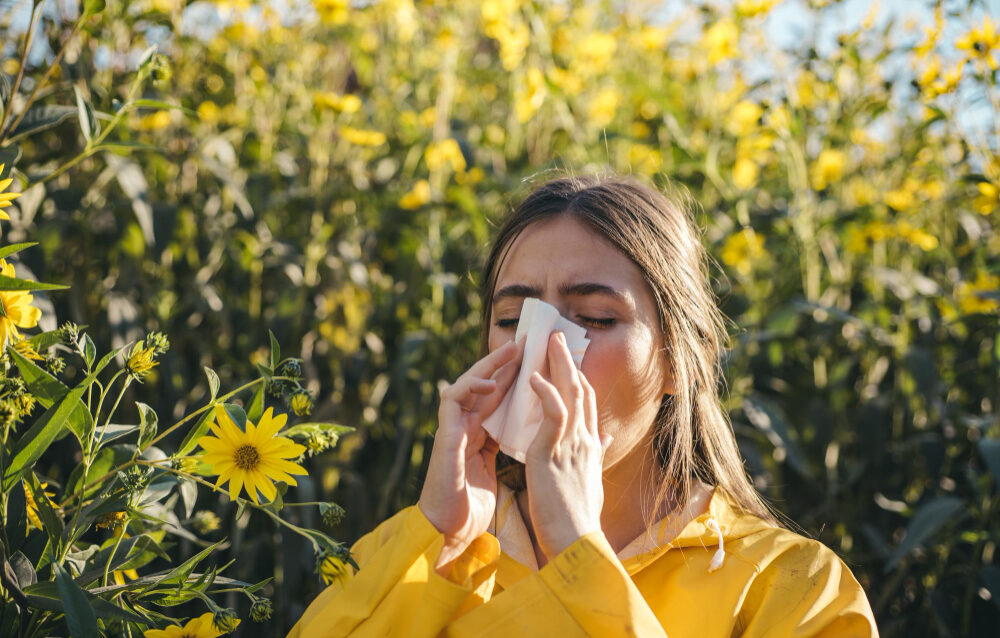 Filtriran svež zrak v stanovanju – rekuperator i-Vent pomaga alergikom pri cvetnem prahu in plesnih